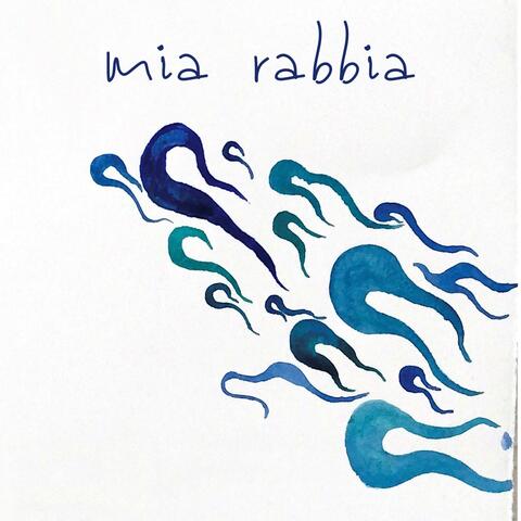 RECOPILATORIO ACÚSTICO