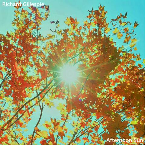 Afternoon Sun