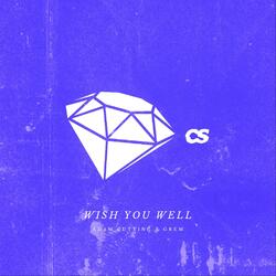 Wish You Well (VIP)