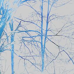 Snow Song