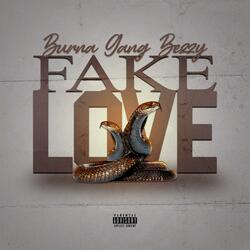 Fake Love