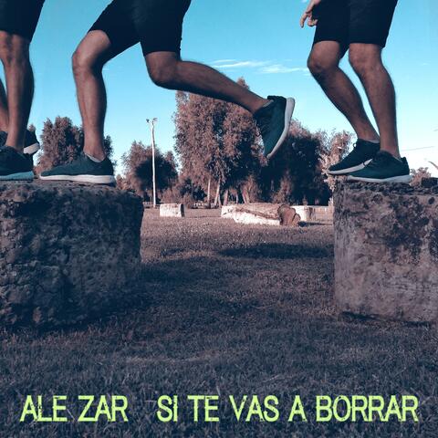 Si te vas a borrar