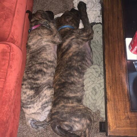 Better Headspace (feat. Rit)