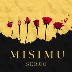 Misimu