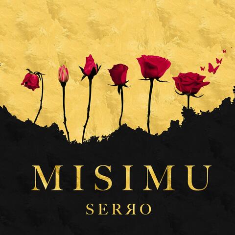 Misimu