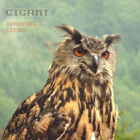 ˜ Gigant ˜