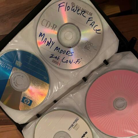 Many Moods In Low-Fi