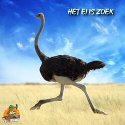 Het ei is zoek (Instrumentaal)