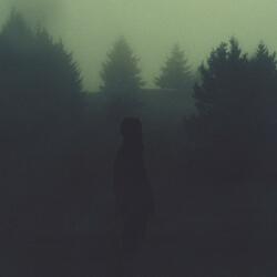 Nightlight