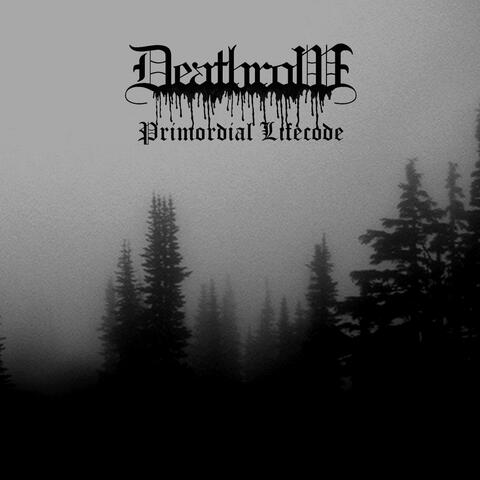 Primordial Lifecode