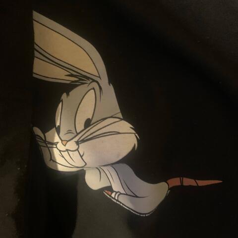 Looney Tunes Theme Song