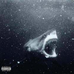 RIP Shark