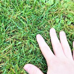 Touched Grass