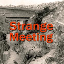 Strange Meeting