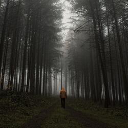 Ghost In The Night
