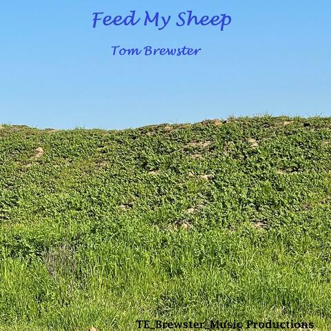 Feed My Sheep
