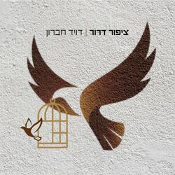 ציפור דרור