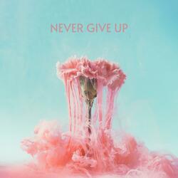 Never Give Up