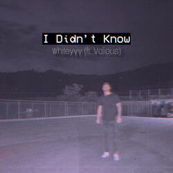 I Didn't Know (feat. Vxlious)