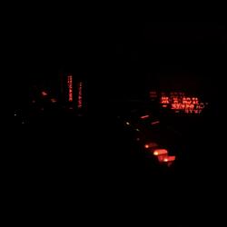 Wild for the Night rework