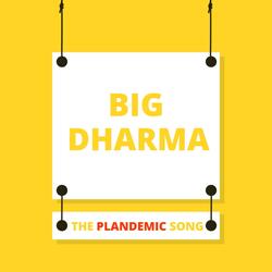 The Plandemic Song