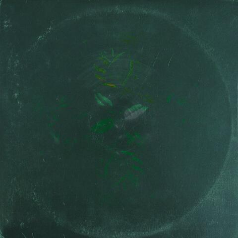 Luces Verdes