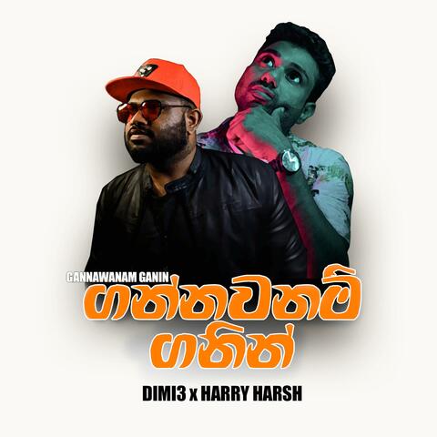 Gannawanam Ganin (feat. Harry Harsh)