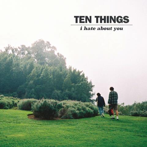 ten things i hate about you