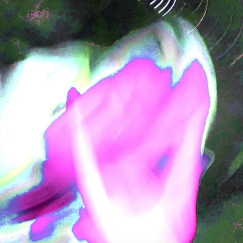 shine! (feat. 808trey)