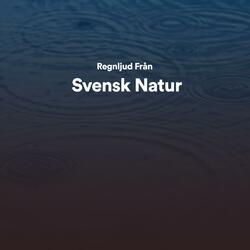 Svensk natur regn