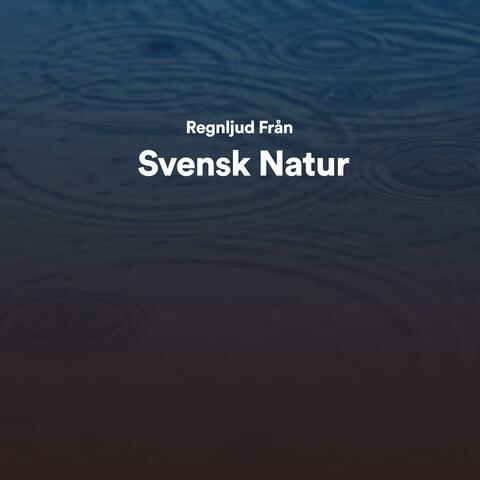 Regnljud från svensk natur