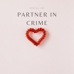 Partner In Crime