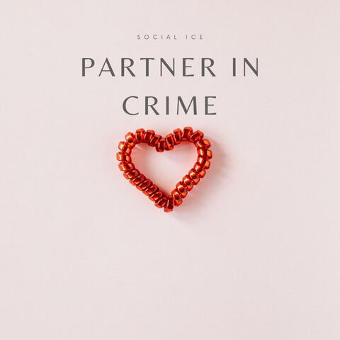 Partner In Crime