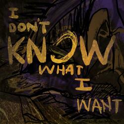 i don't know what i want