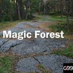 Magic Forest