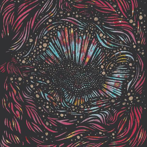 carate urio orchestra COSMOS