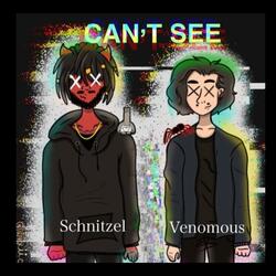 Cant See (feat. Venomous)