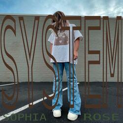 System