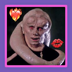 Bib Fortuna