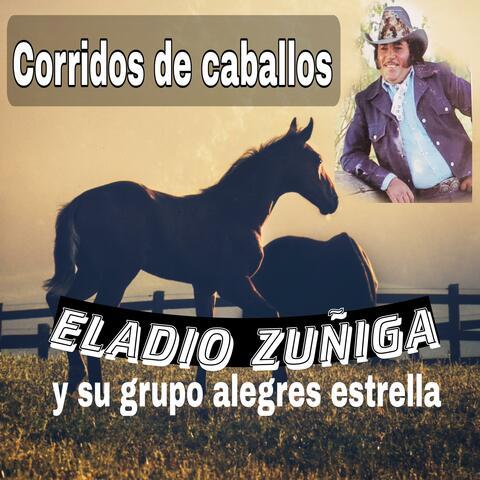 Corridos de caballos