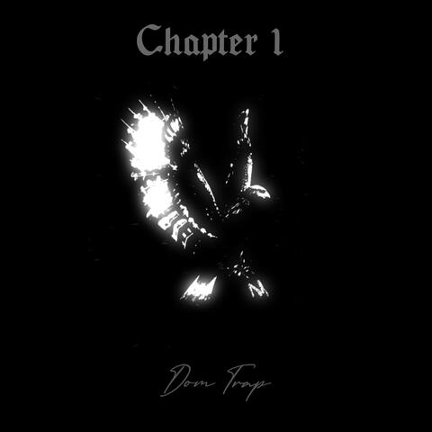 Chapter 1