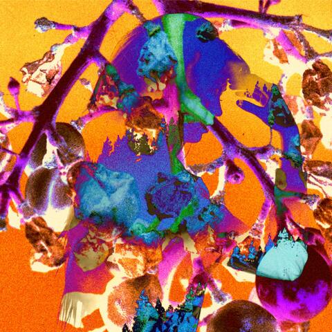 VINED THRESHOLDS (Instrumental)