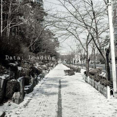 Data Loading