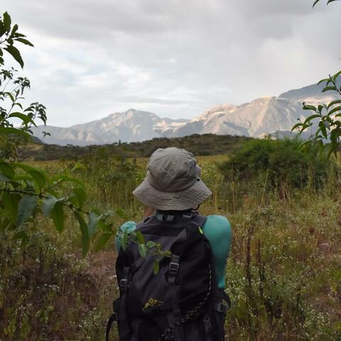 Nomad