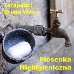 Piosenka niehigieniczna