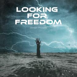Looking For Freedom
