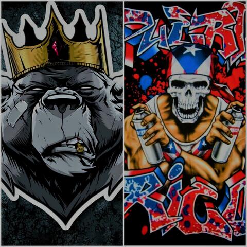 Night and Day