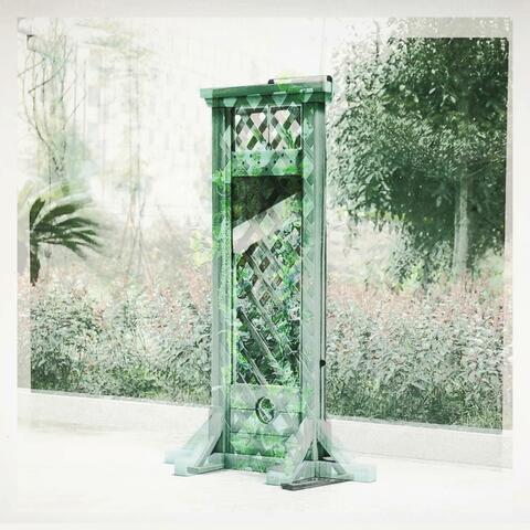 Lattice