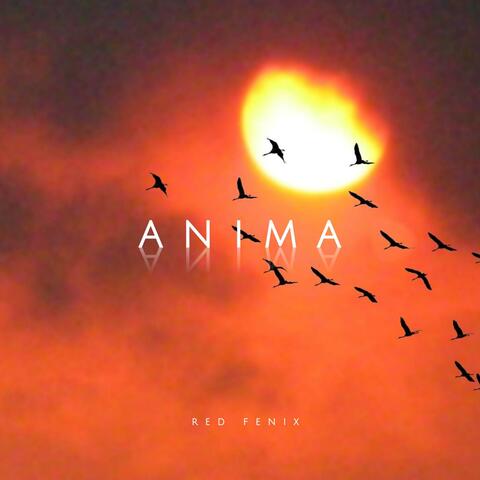 Anima