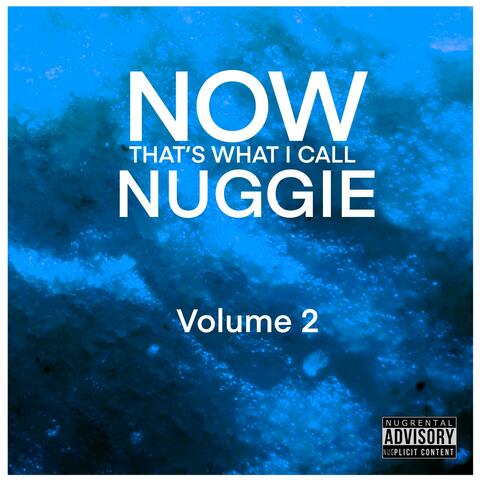 NOW That's What I Call Nuggie, Vol. 2